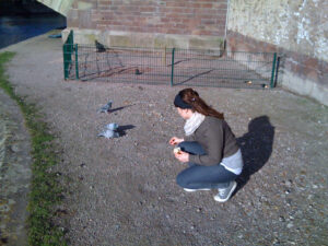 Alva feeding birds